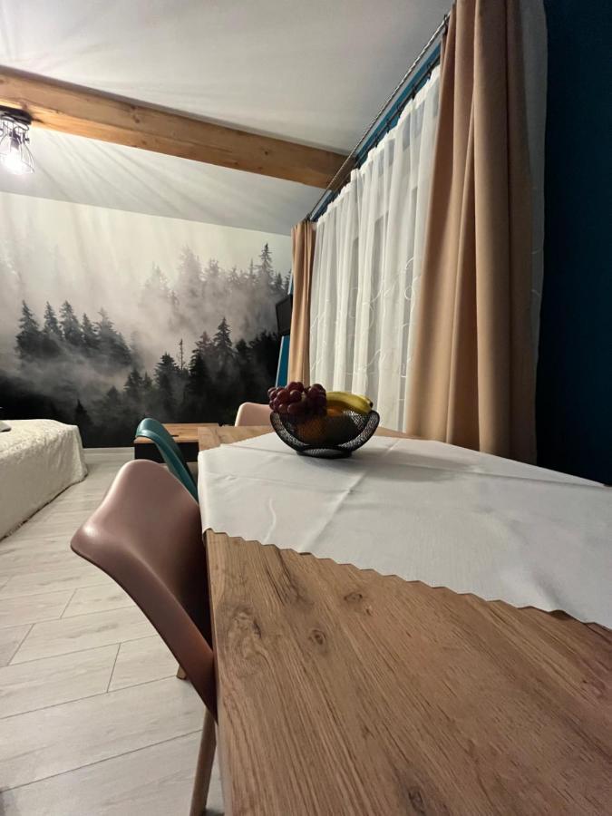 Apartament U Babci Na Strychu Zakopane Zewnętrze zdjęcie